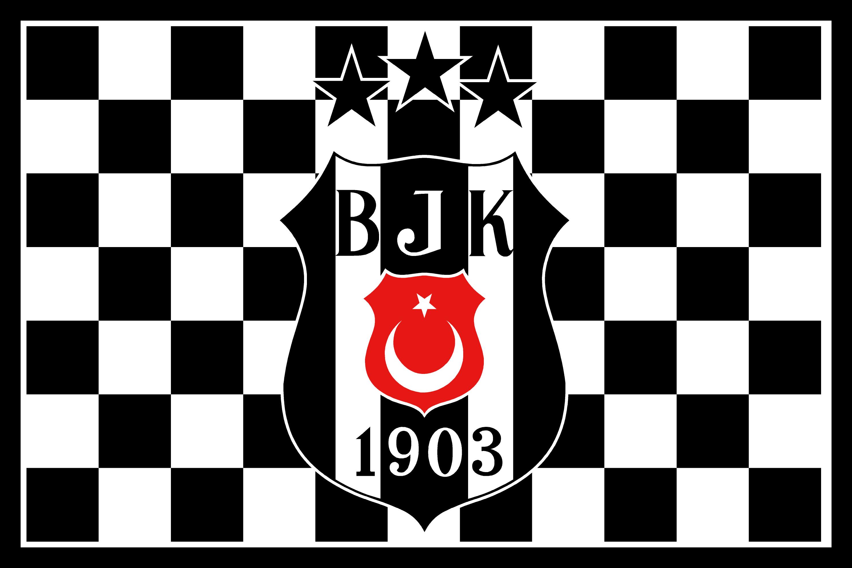 İstanbul Bayrak Baskı örneği 38