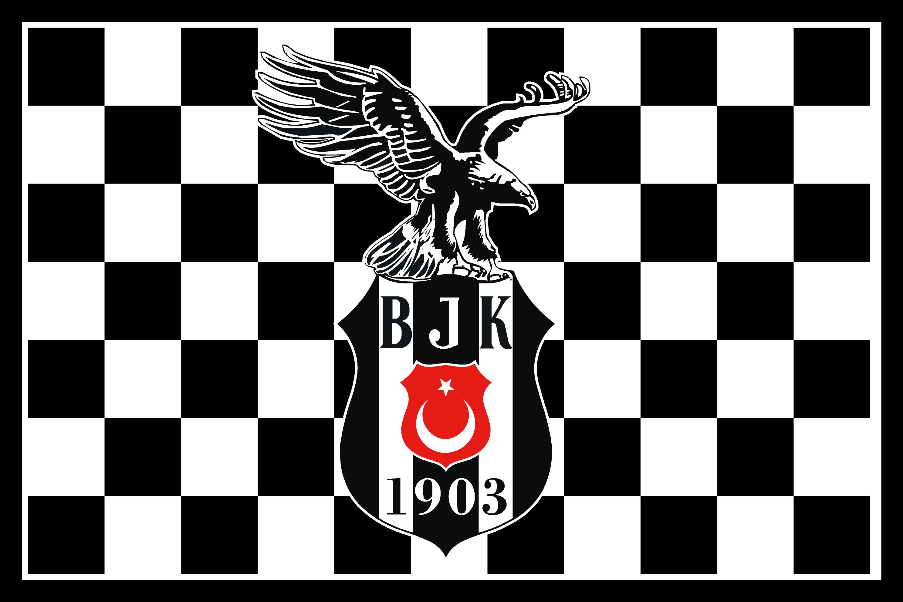 İstanbul Bayrak Baskı örneği 39