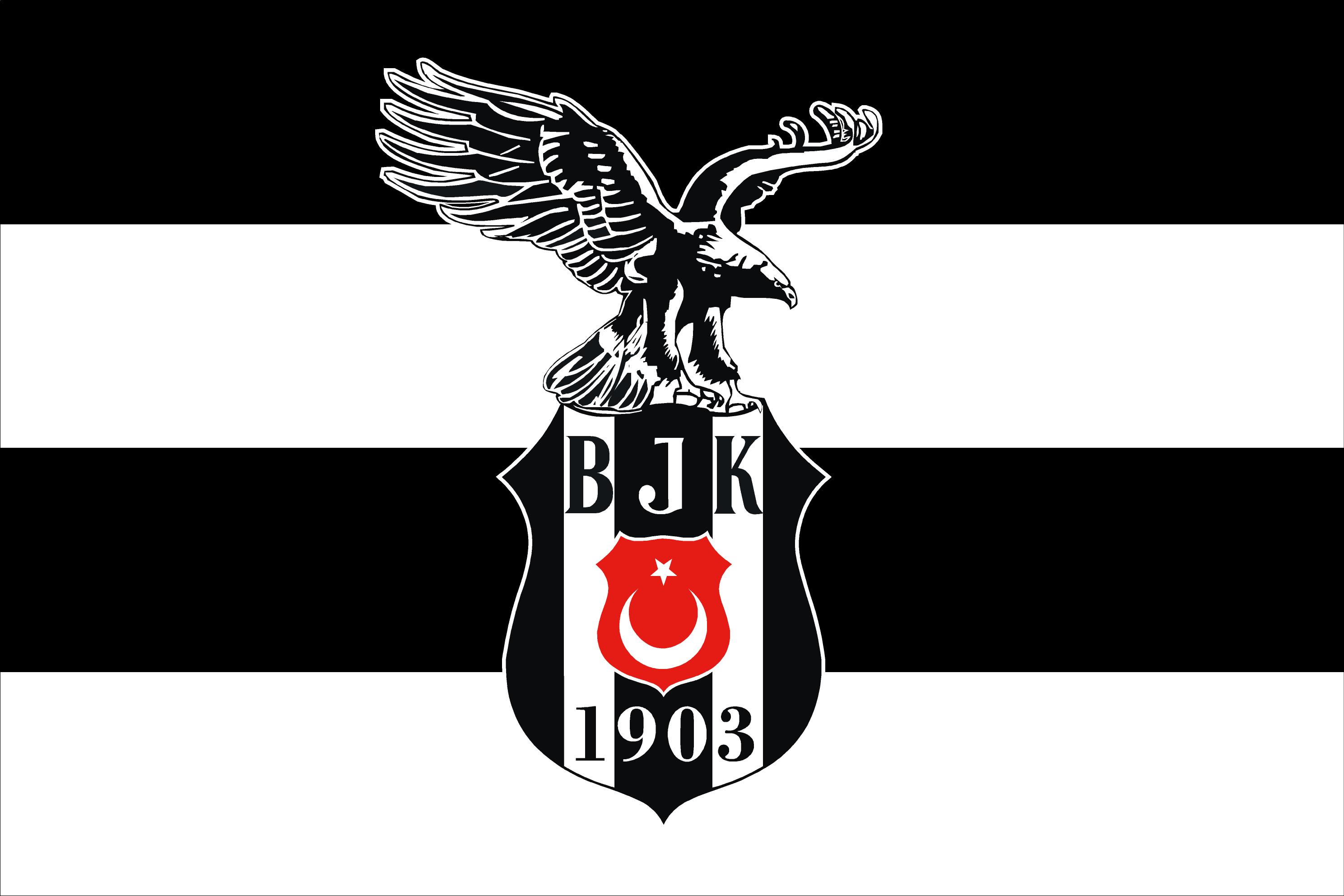 İstanbul Bayrak Baskı örneği 40