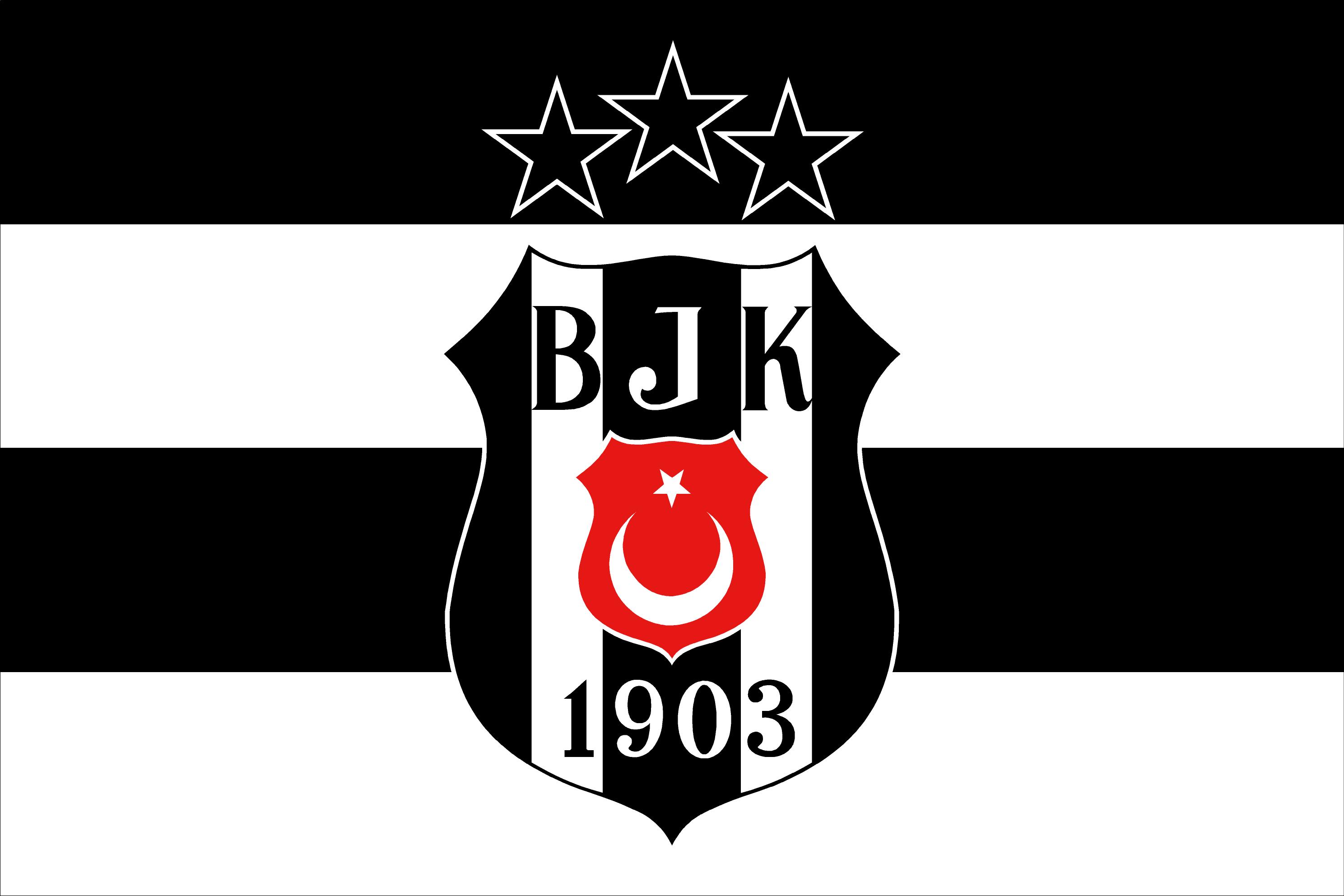 İstanbul Bayrak Baskı örneği 41