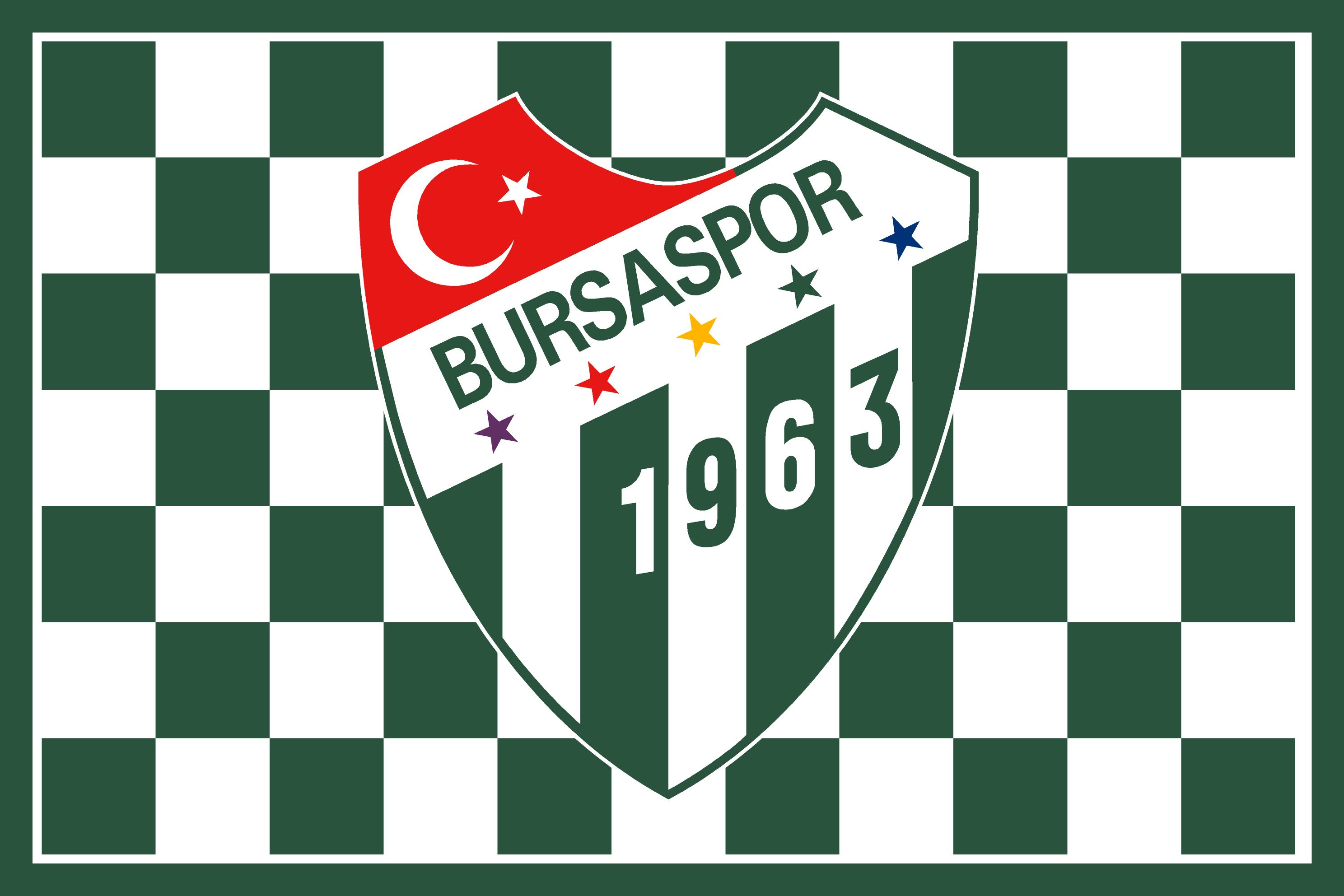 İstanbul Bayrak Baskı örneği 45