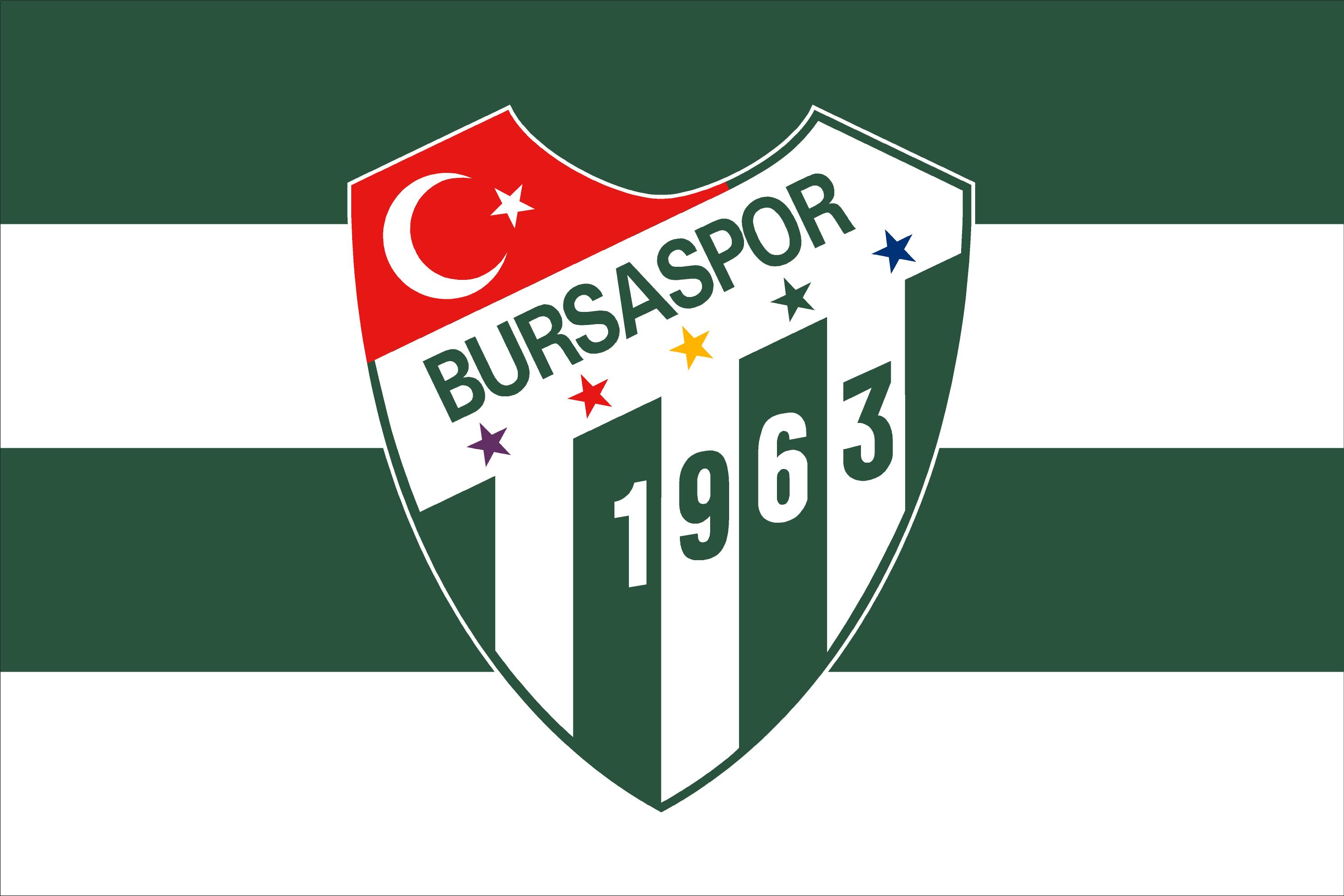 İstanbul Bayrak Baskı örneği 46