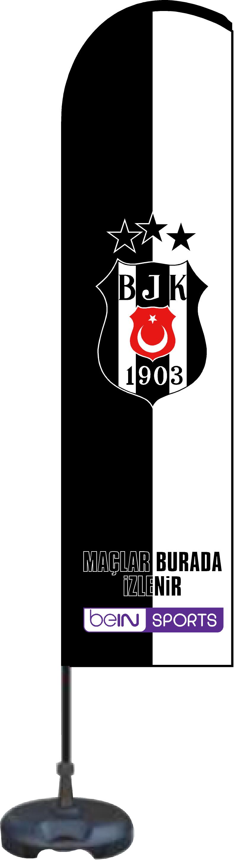 Plaj Bayrakları görseli