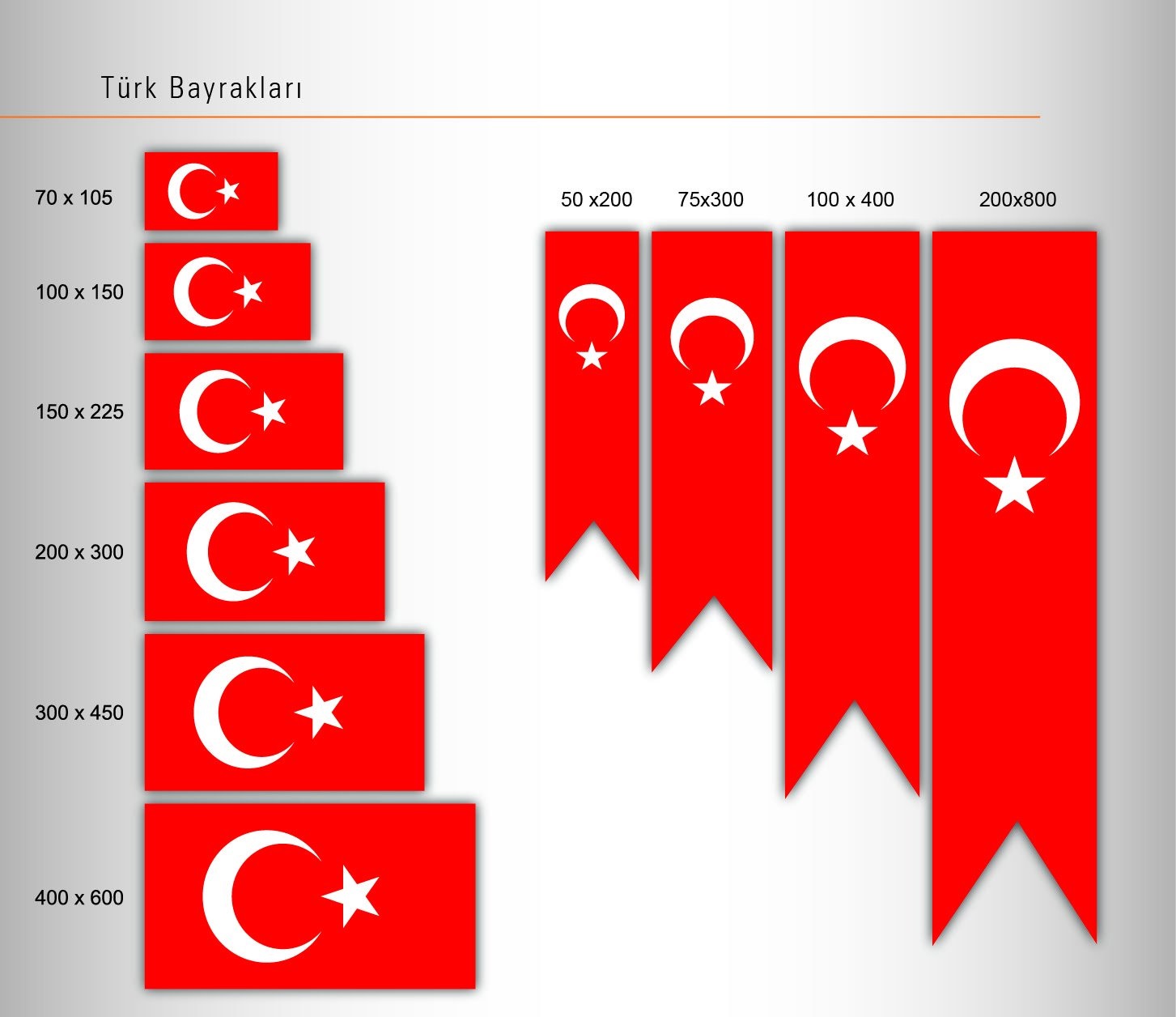 İstanbul Bayrak Baskı örneği 164